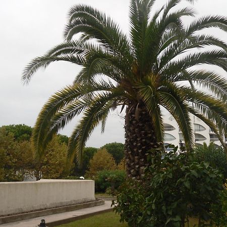 Vittoria Immobilier 9 -Reglement Sur Place - Cheques Vacances Acceptes La Grande Motte Exterior foto